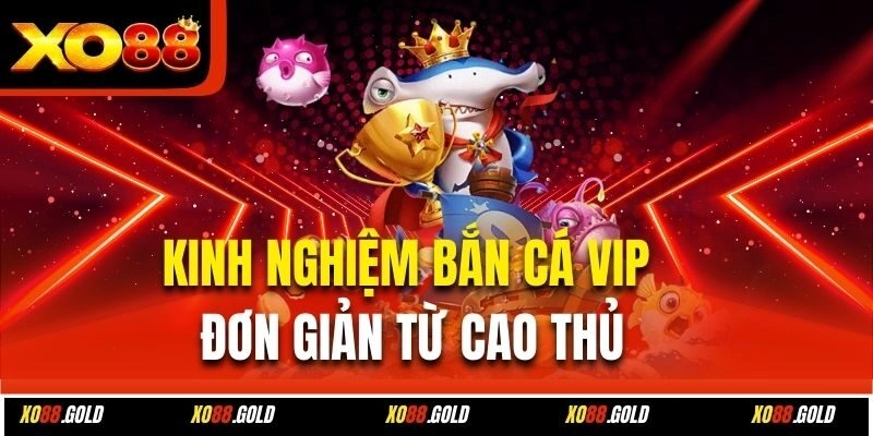 Kinh nghiệm bắn cá VIP đơn giản từ cao thủ